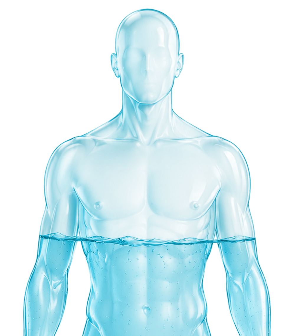 Translucent 3D human body filled with pure hydration water
